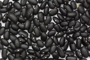 Black Turtle Beans