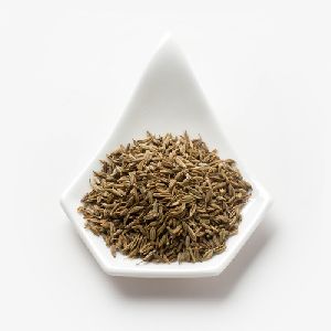 Fennel Seeds