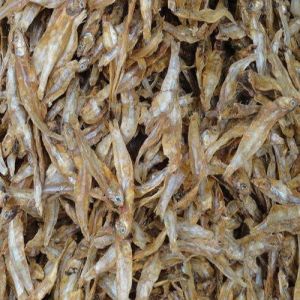 Fresh Dry Fish