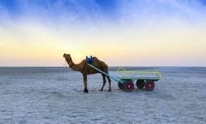 Rann of Kutch Holiday Tour Package