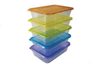 Polypropylene Rectangular Food Container