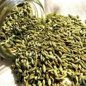 Fennel Seed