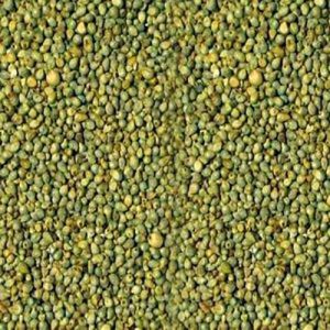 Green Millet