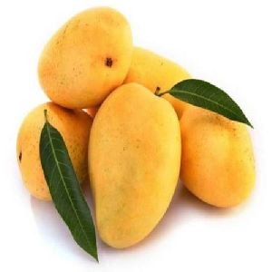 Fresh Mango