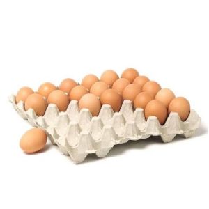 White Paper Egg Crate Tray