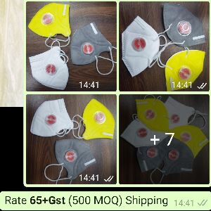 N95 Particulate Respirator