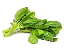 Fresh Spinach Leaves