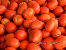 Fresh Tomato