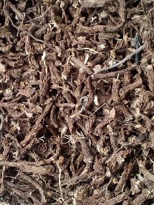 coleus dry roots