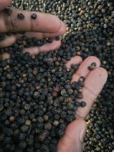 Original Black Pepper