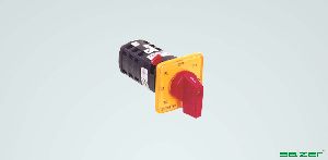 Cam Operated Rotary Switches