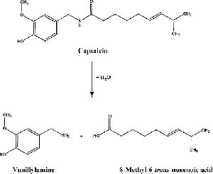 Capsaicin Acid