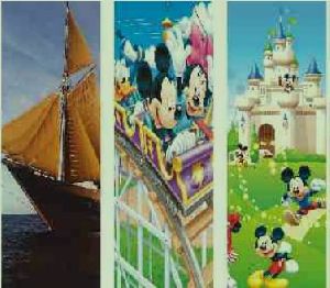 Digital Print Doors