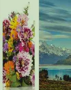 Digital Print Doors
