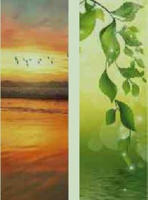 Digital Print Doors