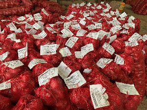 Fresh Dark Pink Onion
