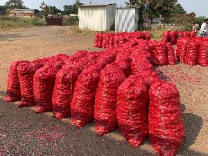 Fresh Dark Pink Onion