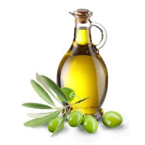 Olive Oil Seeds