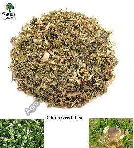 Chickweed Tea