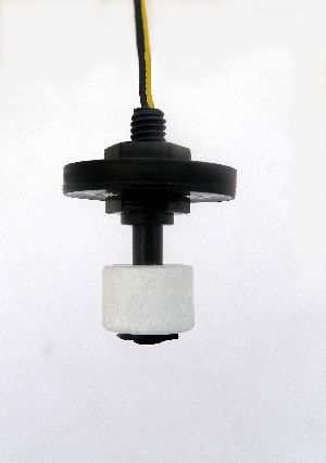 Reversible Magnetic Float Sensor (FS-25)