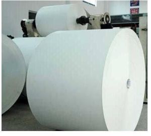 Pe Coated Cup Paper