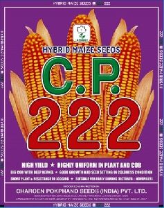 C.P. 222 Hybrid Maize Seeds