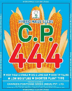 C.P. 444 Hybrid Maize Seeds