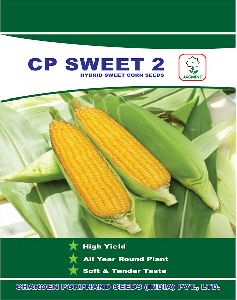 C.P. Sweet 2 Hybrid Sweet Corn Seeds