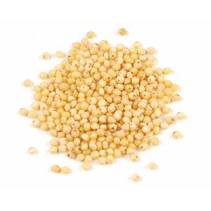 Organic Millet Seeds