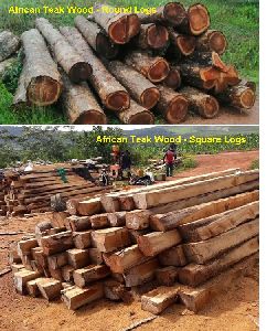 African Teak Wood Logs