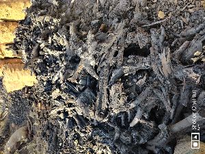 Root Charcoal