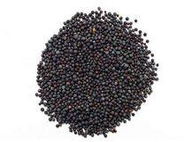 Black Mustard Seeds