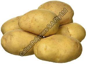 Fresh Medium Potato