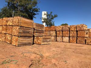 Brazilian Teak Squares