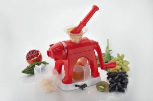 Fruit Juicer