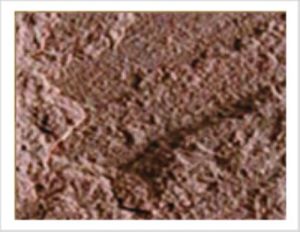 Dholpur Pink Sand stone