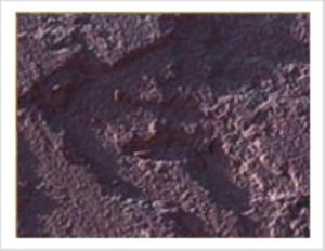 Mandana Red Sand Stone