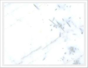 Pista White Marble Slab