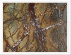 Rainforest Gold Marble Slab