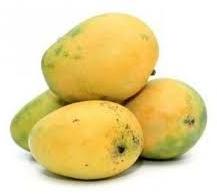 Fresh Banganapalli Mango