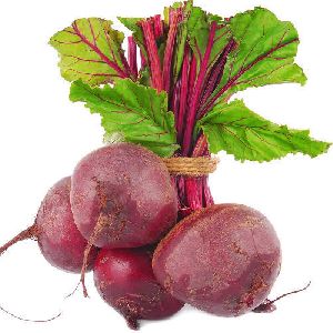 Fresh Beetroot