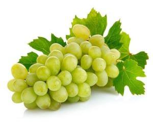 Fresh Green Grapes