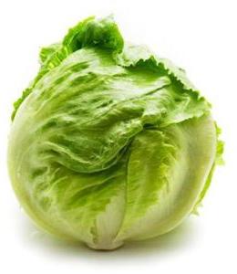 Fresh Lettuce