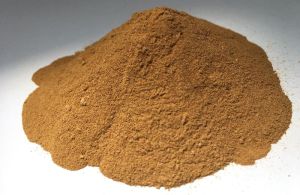 CARNOSIC ACID POWDER