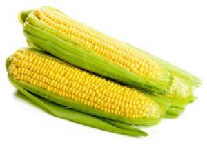 fresh sweet corn