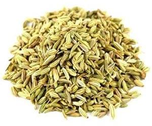 Fennel Seeds