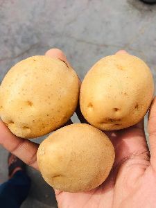 Fresh Potato