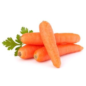 Fresh Red Carrot