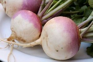 Fresh Turnip