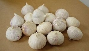 Single Clove Garlic